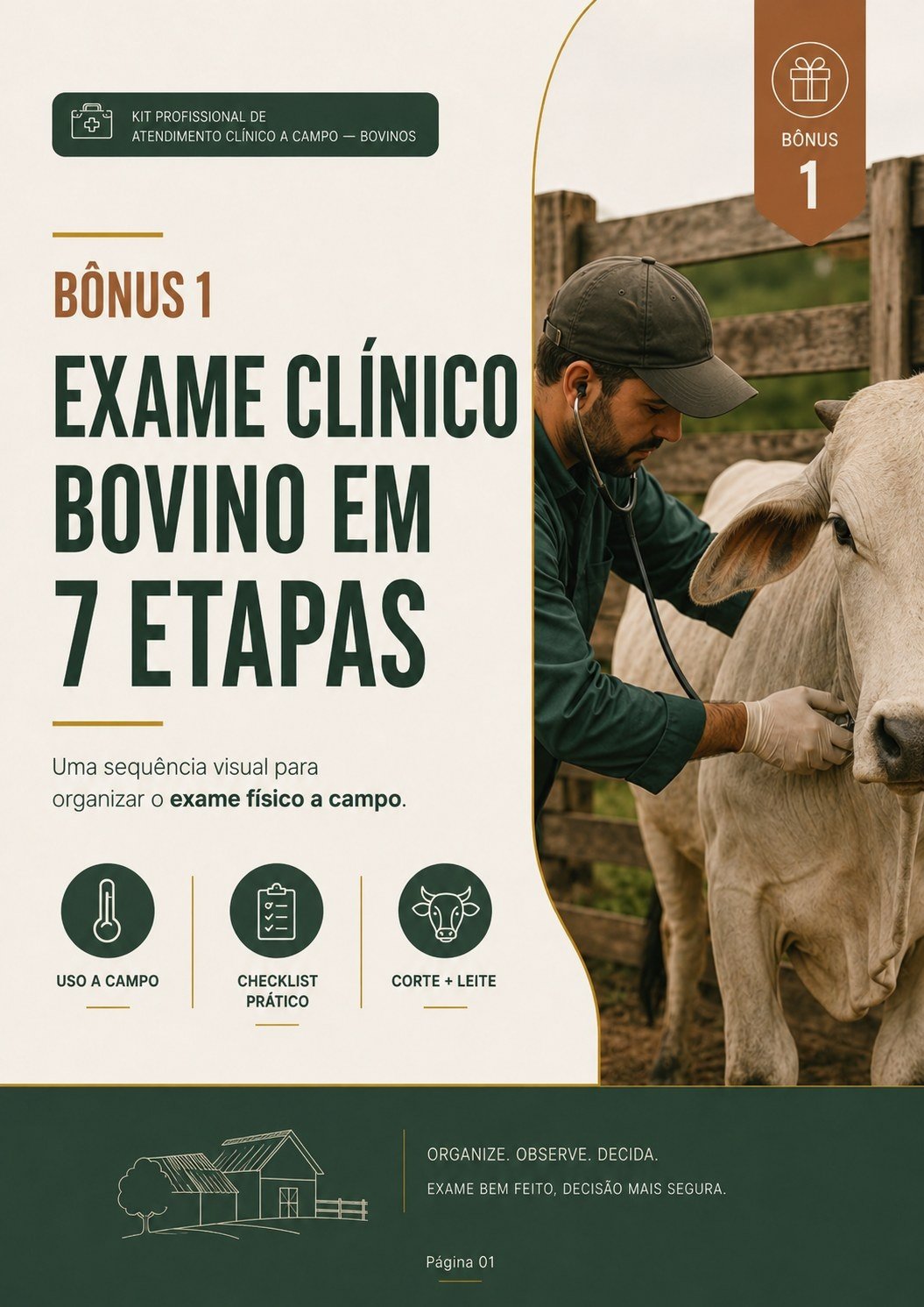 Bônus 1